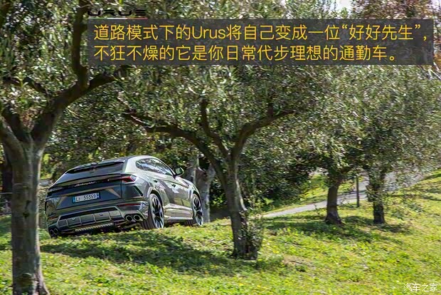 兰博基尼 Urus 2018款 4.0T V8