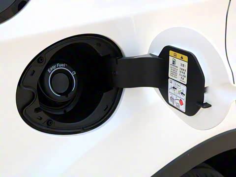 2018款 EcoBoost 180 两驱Cognac特别版 2018款 EcoBoost 180 两驱Cognac特别版