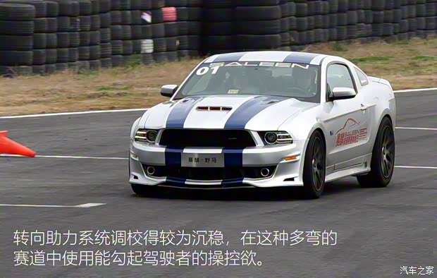 威蒙積泰 賽麟Mustang 2015款 5.0T 豪華鉑金型 威蒙積泰 賽麟Mustang 2015款 5.0T 豪華鉑金型