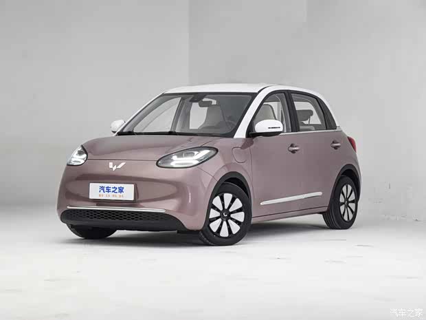 上汽通用五菱 五菱繽果 2023款 410km靈犀尊享款