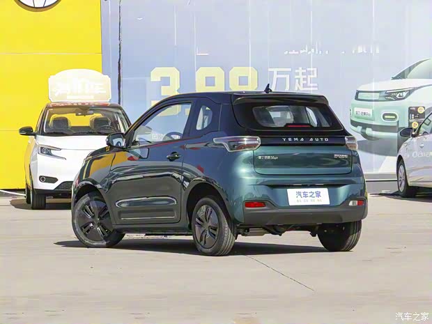 雷丁 雷丁芒果Max 2022款 220 高配版