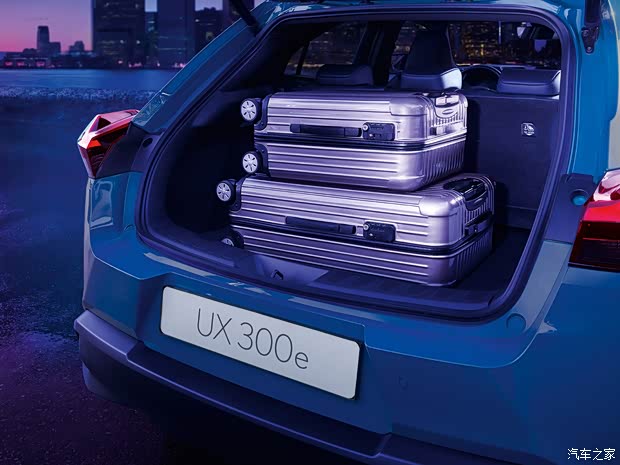 雷克薩斯 雷克薩斯UX新能源 2020款 300e