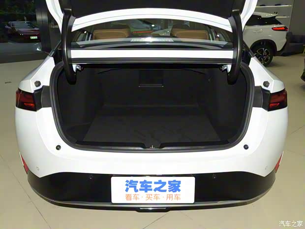 小鹏汽车 小鹏汽车P5 2021款 550E