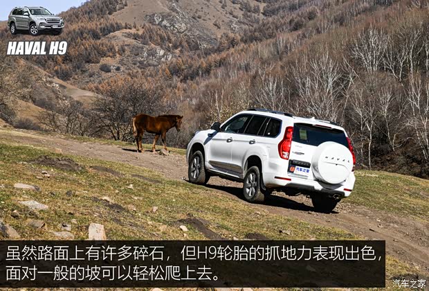 长城汽车 哈弗H9 2020款 2.0T 汽油四驱尊享型 5座