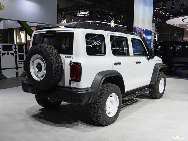 长城汽车 坦克300 2023款 2.0T 铁骑02