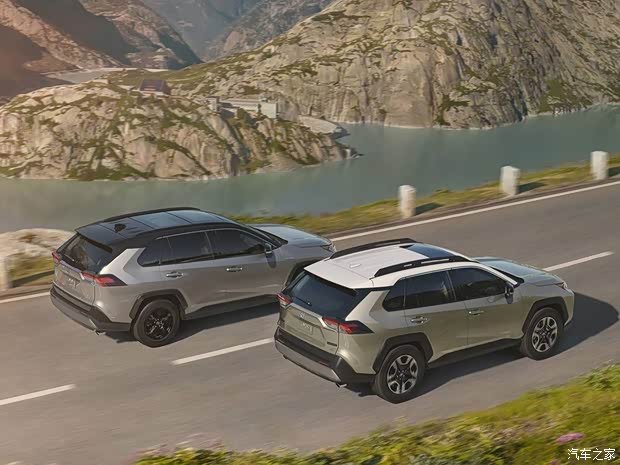 丰田(进口) 丰田RAV4(进口) 2019款 基本型