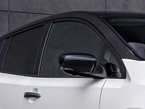 日產(chǎn)(進(jìn)口) 聆風(fēng) 2021款 10 Special Version