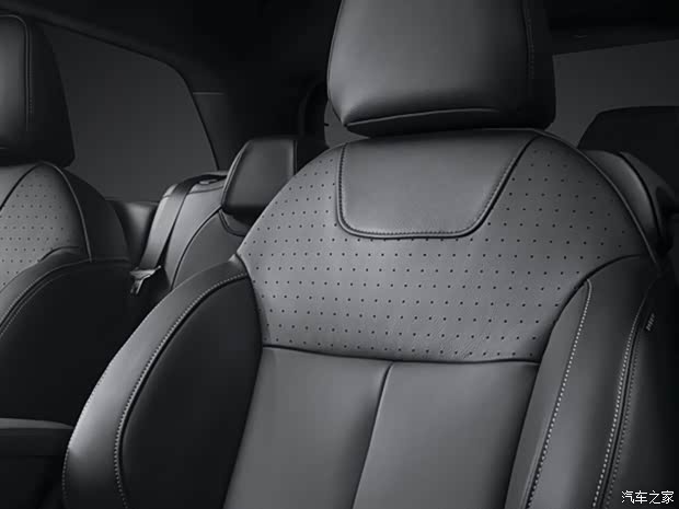 雪铁龙(进口) DS 3 2018款 Black Lezard限量版 雪铁龙(进口) DS 3 2018款 Black Lezard限量版