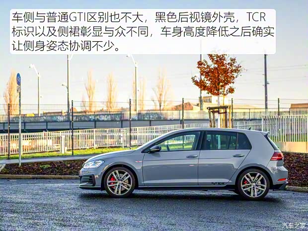 大众(进口) 高尔夫(进口) 2019款 GTI TCR