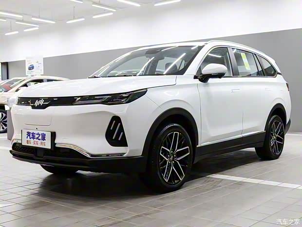 威马汽车 威马EX6 2020款 Plus 首发创始人版 威马汽车 威马EX6 2020款 Plus 首发创始人版