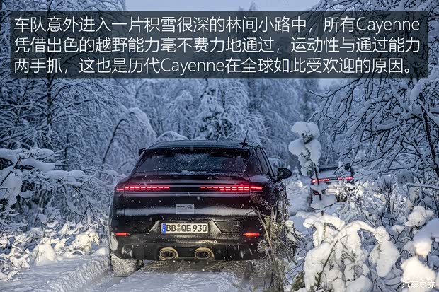 保时捷 Cayenne 2024款 基本型