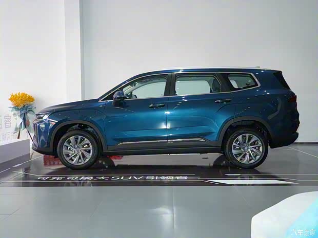 睿藍(lán)汽車 睿藍(lán)9 2023款 470km 引領(lǐng)版 電池租賃