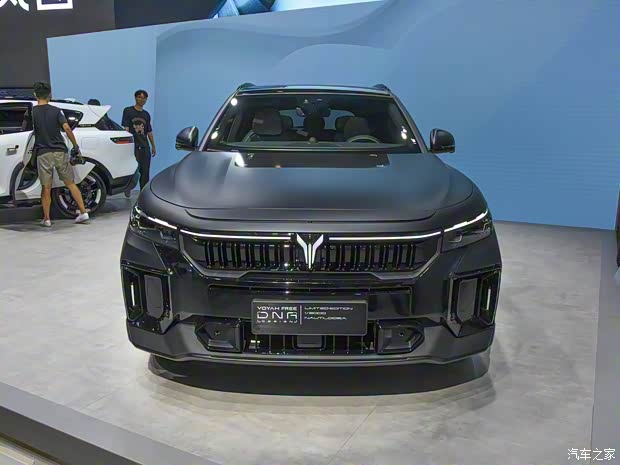 嵐圖汽車 嵐圖FREE 2022款 DNA Design 純電版
