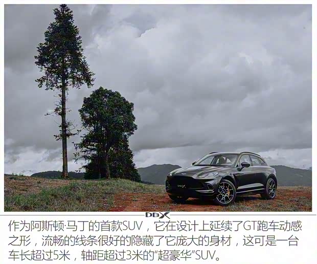 阿斯頓·馬丁 阿斯頓·馬丁DBX 2020款 4.0T V8