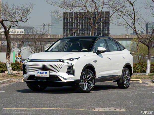 上汽集团 鲸 2022款 基本型 上汽集团 鲸 2022款 基本型