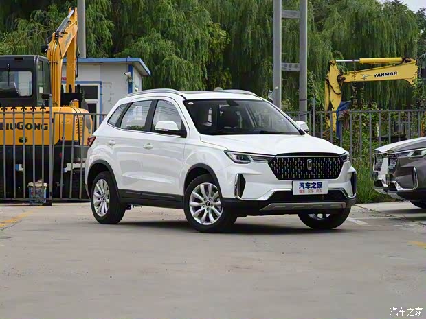 一汽奔騰 奔騰T33 2019款 1.6L 自動(dòng)豪華型 國VI