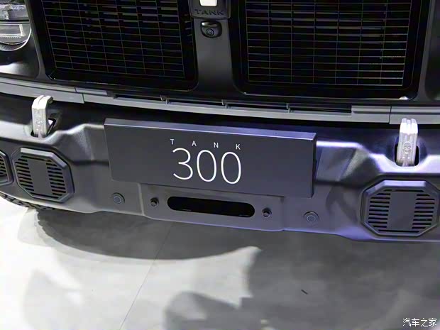 长城汽车 坦克300 2023款 2.0T 铁骑02