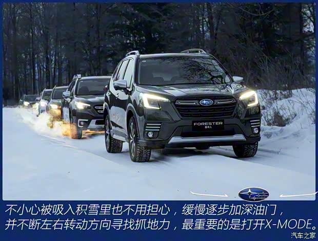 斯巴魯 森林人 2022款 2.0i 旗艦版EyeSight 斯巴魯 森林人 2022款 2.0i 旗艦版EyeSight