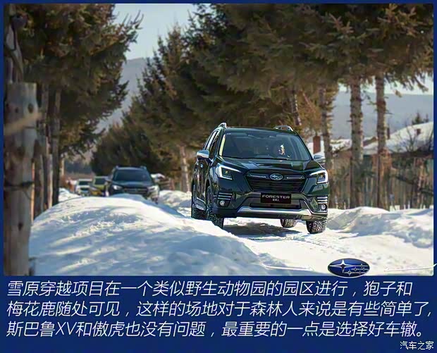 斯巴魯 森林人 2022款 2.0i 旗艦版EyeSight 斯巴魯 森林人 2022款 2.0i 旗艦版EyeSight