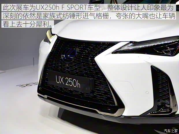 雷克萨斯 雷克萨斯UX 2019款 250h F SPORT