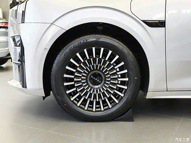 極氪 ZEEKR 009 2022款 WE版