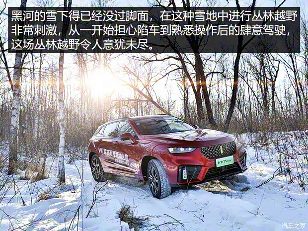 长城汽车 WEY VV7新能源 2020款 PHEV 2.0T 旗舰型 长城汽车 WEY VV7新能源 2020款 PHEV 2.0T 旗舰型
