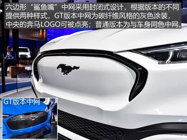 福特(进口) Mustang Mach-E 2020款 标准续航全驱版