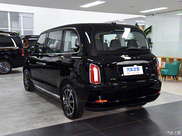 LEVC LEVC TX 2020款 插电混动基本型