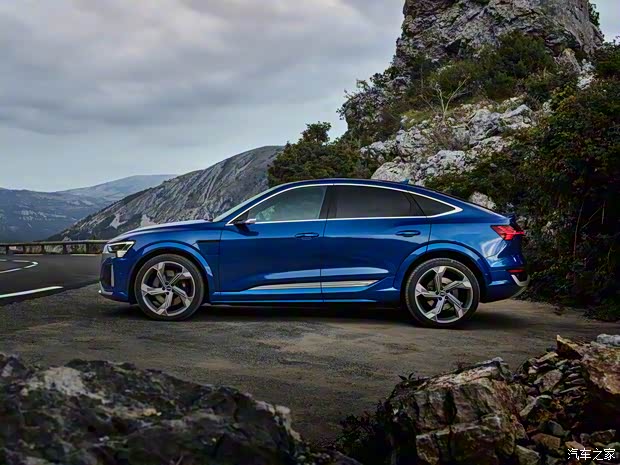 奧迪(進(jìn)口) 奧迪SQ8 e-tron Sportback 2023款 基本型