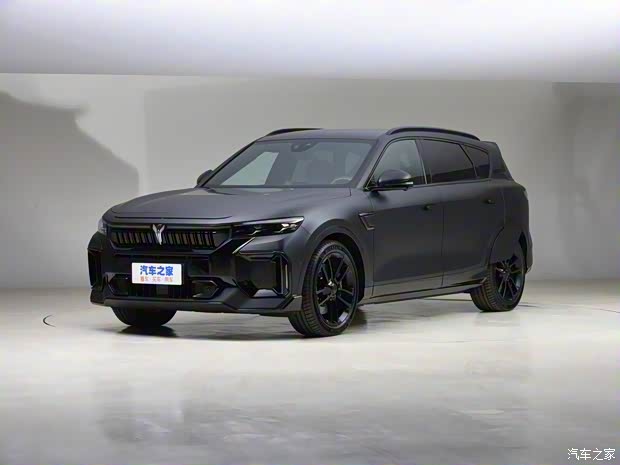 嵐圖汽車(chē) 嵐圖FREE 2022款 DNA Design 純電版