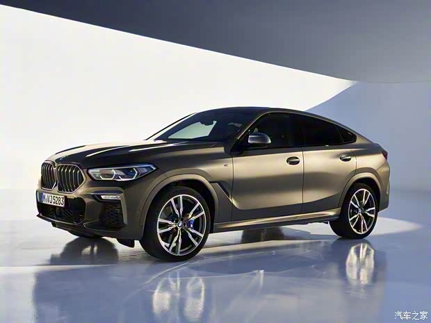 宝马(进口) 宝马X6 2020款 M50i