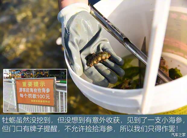 一汽红旗 红旗HS5 2019款 2.0T 智联旗享四驱版