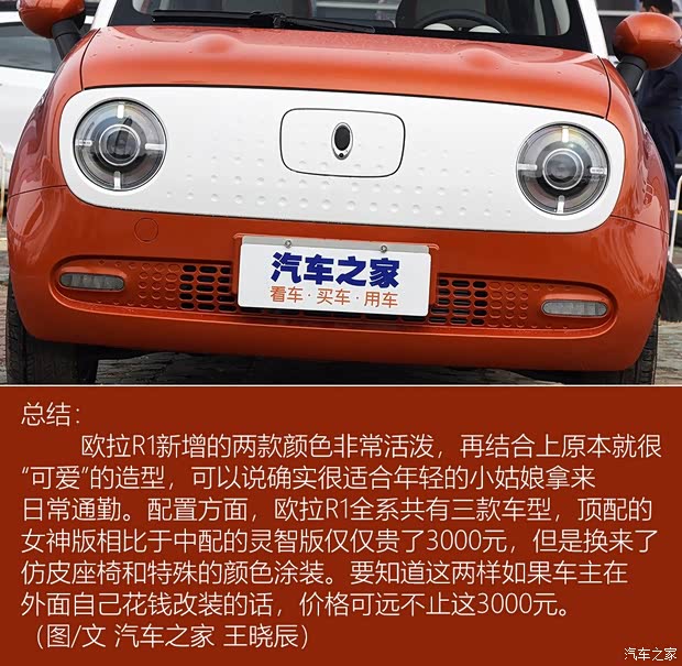 长城汽车 欧拉R1 2019款 351km 女神版