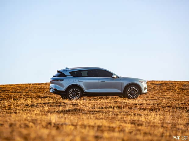 岚图汽车 岚图FREE 2020款 基本型