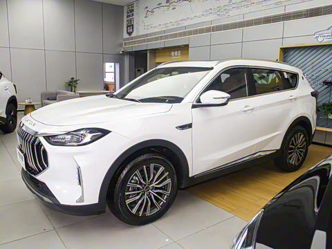 2025款 冠军版 1.5T DCT冠军PRO 5座 2025款 冠军版 1.5T DCT冠军PRO 5座