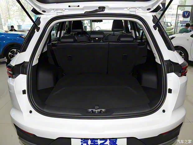 長安汽車 E-Rock 2020款 基本型