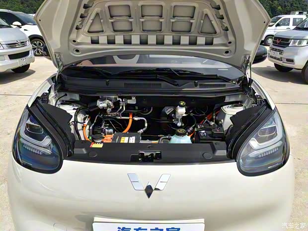 上汽通用五菱 五菱繽果 2023款 333km 悅享+款