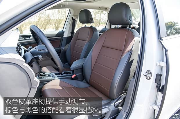 上汽大众 朗逸新能源 2019款 纯电动