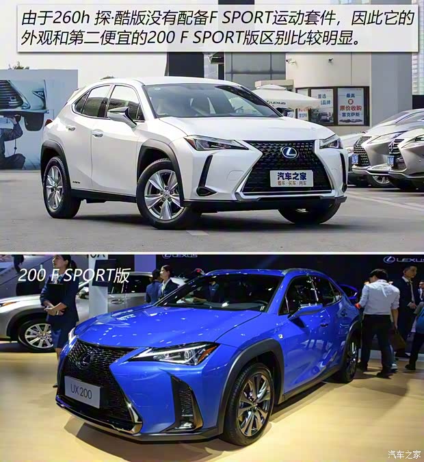 雷克薩斯 雷克薩斯UX 2020款 260h 探·酷版