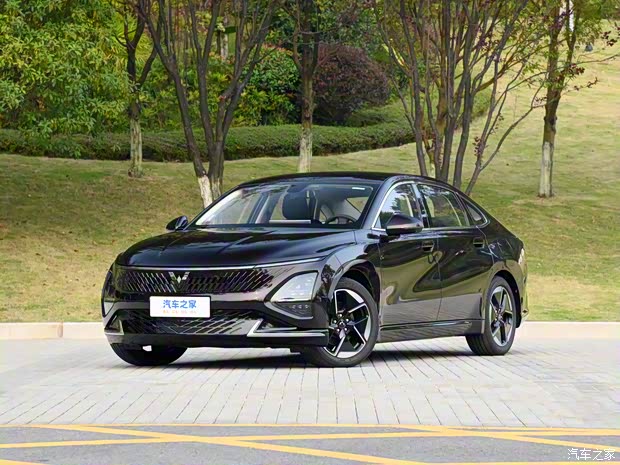 上汽通用五菱 五菱星光 2023款 150 進(jìn)階版