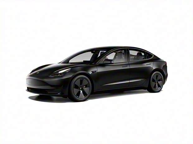 特斯拉中国 Model 3 2022款 后轮驱动版