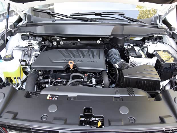 长城汽车 哈弗大狗 2020款 1.5T DCT边牧版