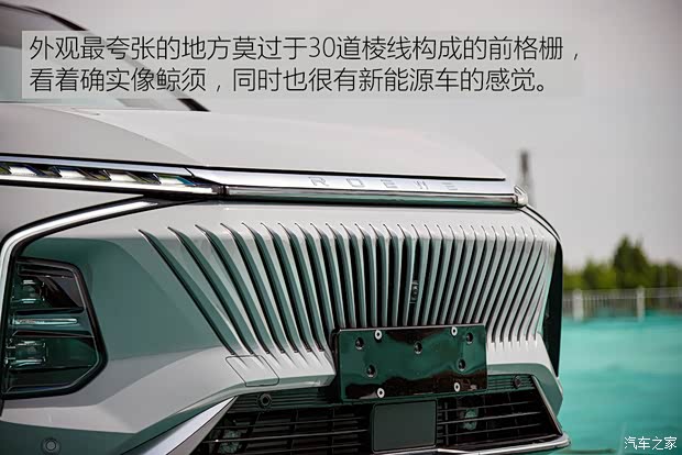 上汽集團(tuán) 鯨 2022款 2.0T 藍(lán)鯨版