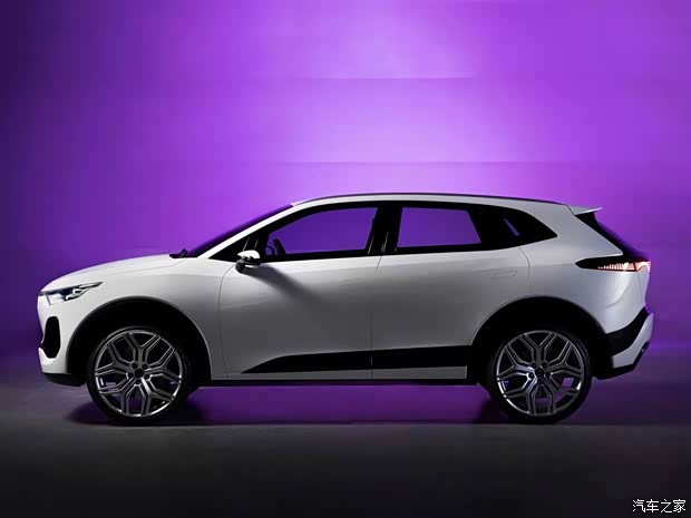 IZERA IZERA SUV 2021款 基本型 IZERA IZERA SUV 2021款 基本型