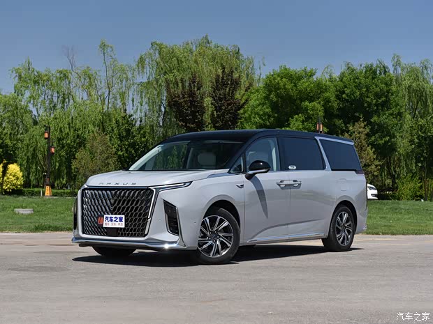 上汽大通 上汽大通MAXUS G90 2022款 2.0T 星際旗艦版