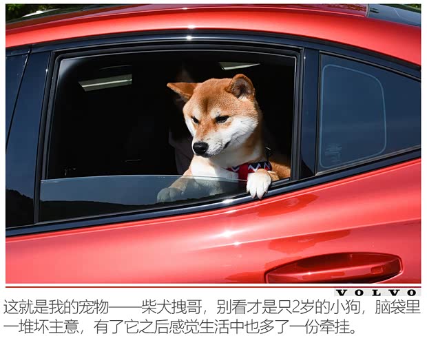 沃尔沃亚太 沃尔沃S60 2020款 T5 智雅运动版 沃尔沃亚太 沃尔沃S60 2020款 T5 智雅运动版