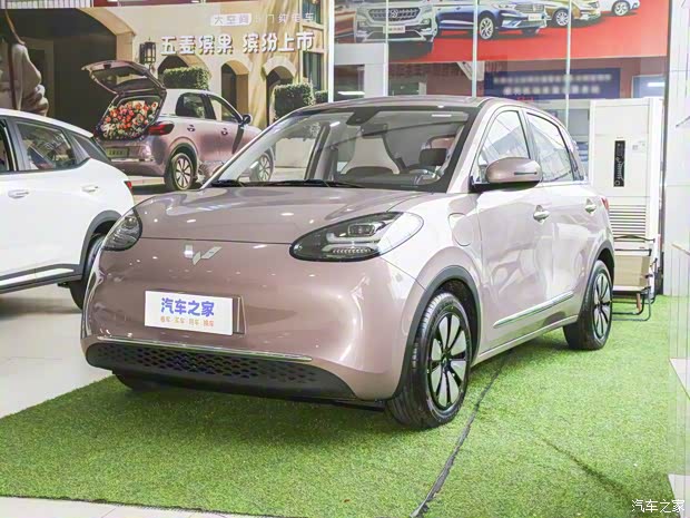 上汽通用五菱 五菱繽果 2023款 333km 悅享款