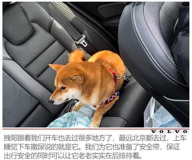 沃尔沃亚太 沃尔沃S60 2020款 T5 智雅运动版 沃尔沃亚太 沃尔沃S60 2020款 T5 智雅运动版