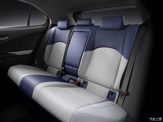 雷克薩斯 雷克薩斯UX新能源 2020款 300e