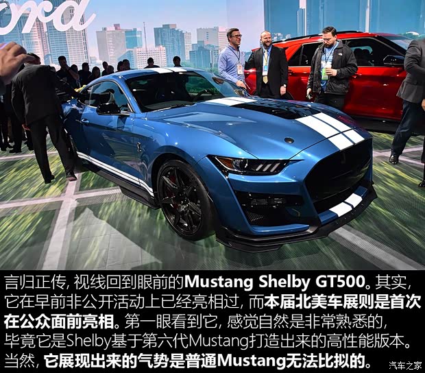 福特(進口) Mustang 2020款 Shelby GT500